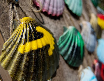 Camino de Santiago - shells