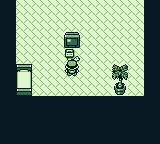 pokemon blue