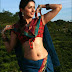 Bhumika Chawla or Bhoomika Chawla hot and sweet in saree
