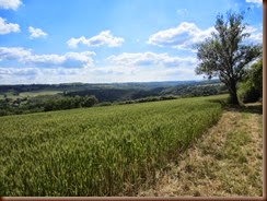 ble_0293