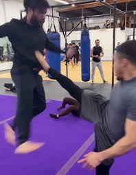 TV and Film Stunts 