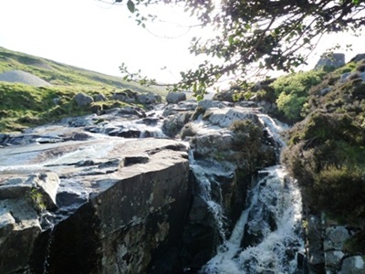 P1020665