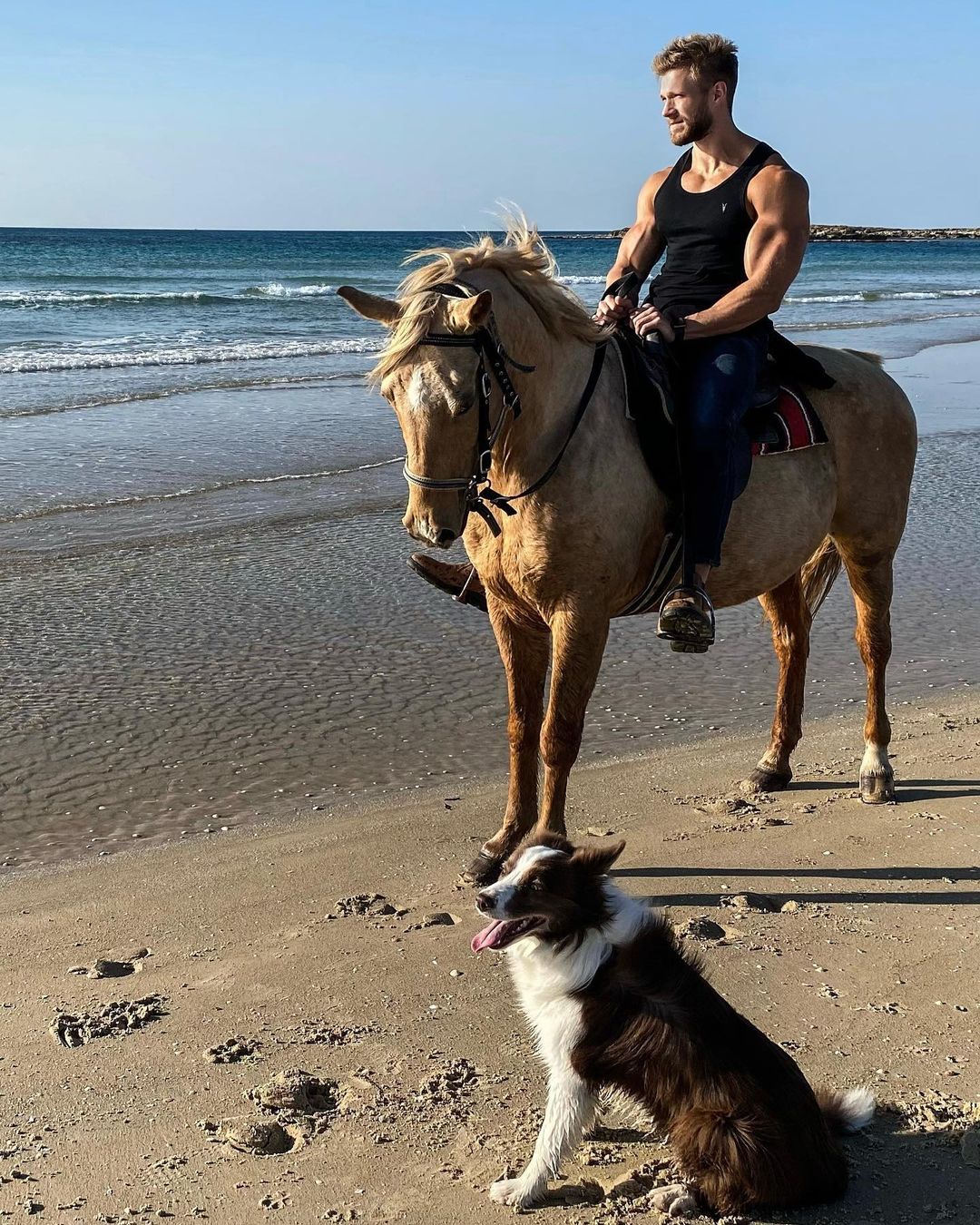 hot-guy-riding-horse-beach-tomer-yaron-dog-handsome-daddy