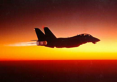 F-14 Tomcat image