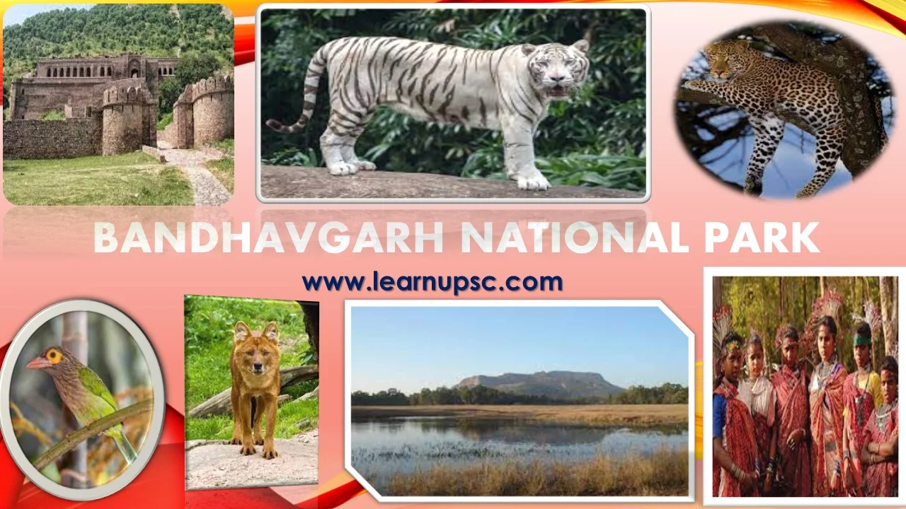 Facts about Bengal Tigers you might not know - Bandhavgarh National Park