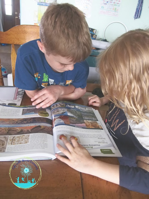 Apologia Earth Science is great for multiple ages.