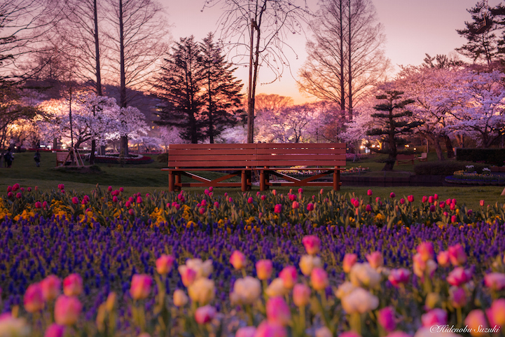 Gorgeous Landscapes Reveal the Idyllic Tranquility of Japan