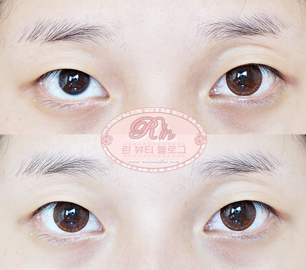  SOFTLENS HITAM YANG BAGUS