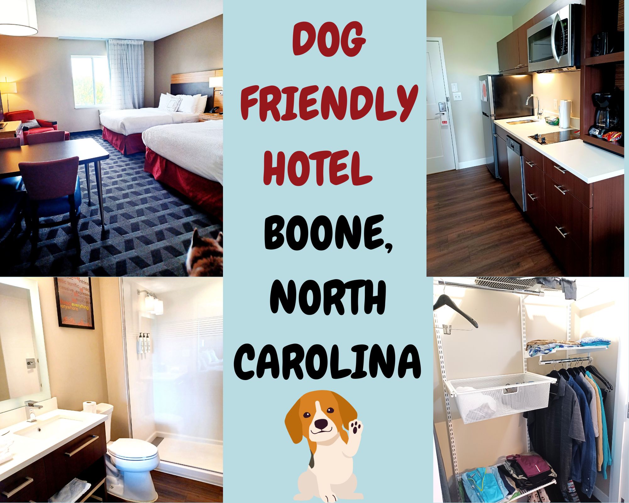 Dog Friendly Boone North Carolina