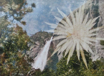 Yosemite Falls and Cactus Flower by Debby Prohias