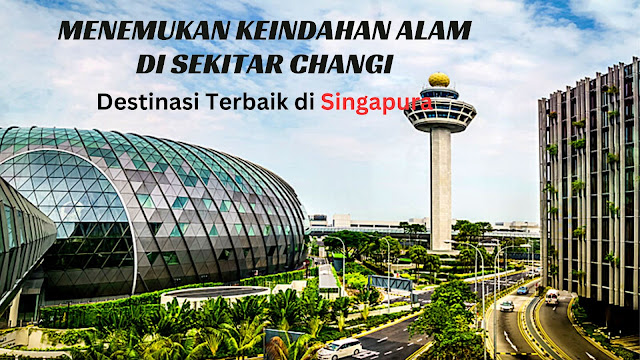 Menemukan Keindahan Alam di Sekitar Changi: Destinasi Terbaik di Singapura