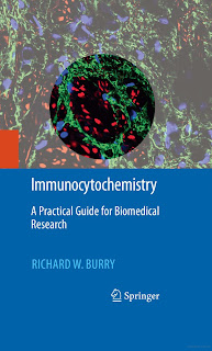 Immunocytochemistry: A Practical Guide for Biomedical Research