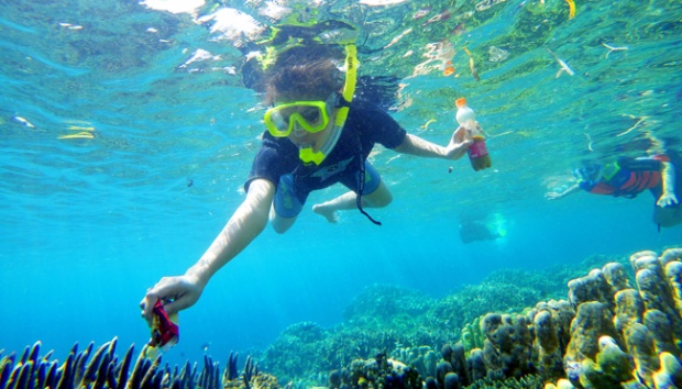 Diving di gorontalo