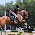 The different competitions of the world of equestrian sport