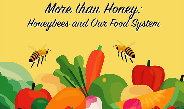 More Than Honey: Honeybees and Our Food System