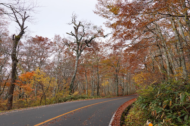 鳥取県道45号倉吉江府溝口線（大山環状道路）