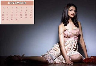 New Year Calendar 2011 - November