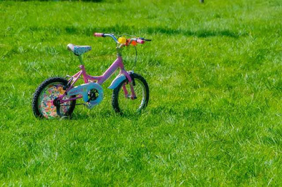 bicycle for 2 year old