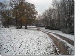 snow 024