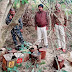 शराब निर्माण में लगे 38 टीना जाबा महुआ ‌को पुलिस ने किया विनष्ट