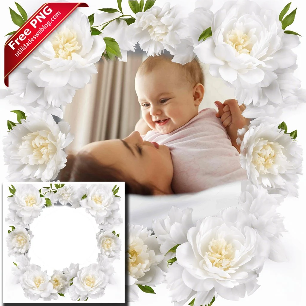 marco para fotos con flores de peonias blancas en png con fondo transparente para descargar gratis