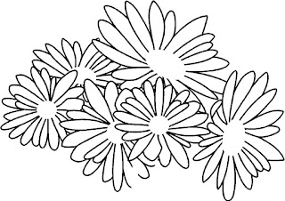 Flower Photos