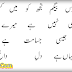 Uff Yeh Biwiyan Urdu Funny Poetry Sms + Funny Picture