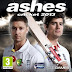  Ashes Cricket 2013