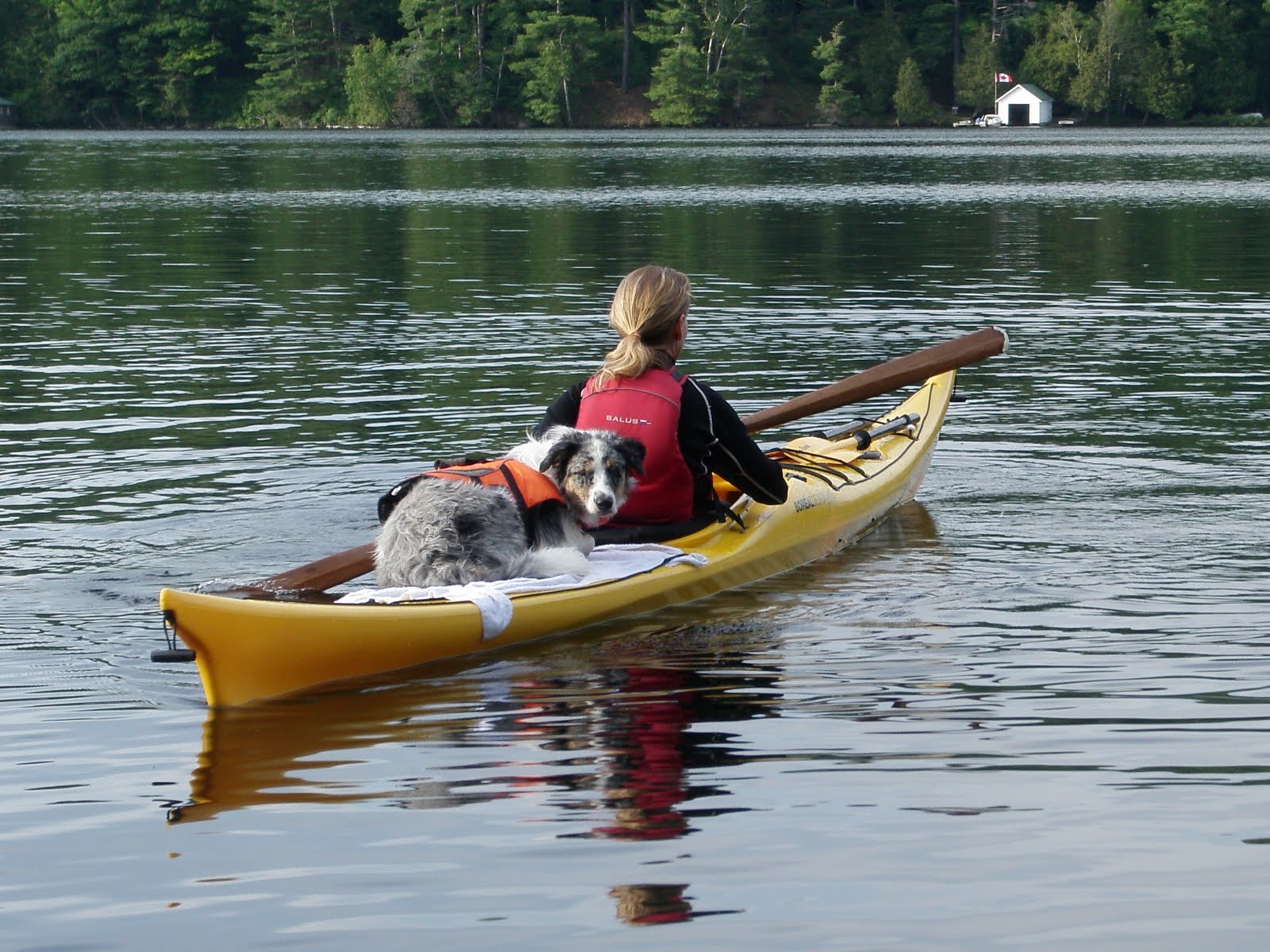 BaffinPaddler - http://baffinpaddler.blogspot.com: Paddle 