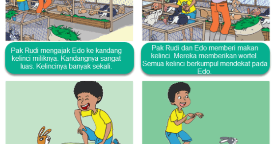  Gambar  Ilustrasi  Tentang Hewan  Kelinci  Beserta Jawabannya 