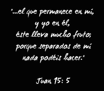 Cita biblica juan 15: 5