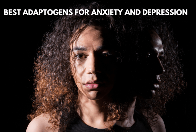 best adaptogens for anxiety and depression