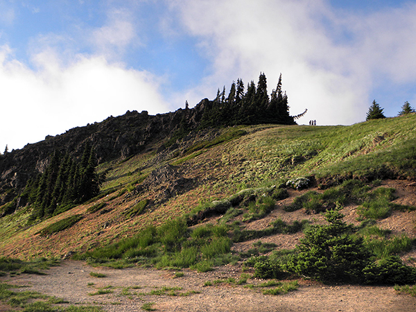 Hurricane Hill Looking up at Three Hikers on Skyline