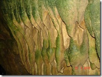 DSC00409