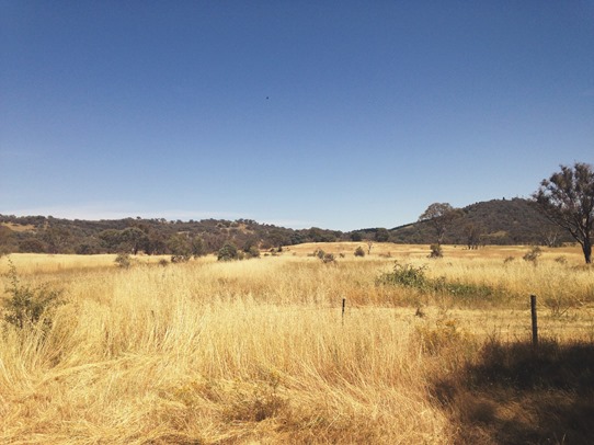Goodbye to our old home... | A Riding Habit