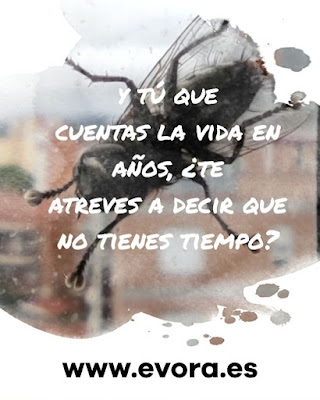 Frase: la vida