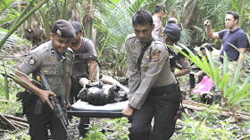 Menko Polhukam Prediksi Teroris Santoso Tertangkap Mei