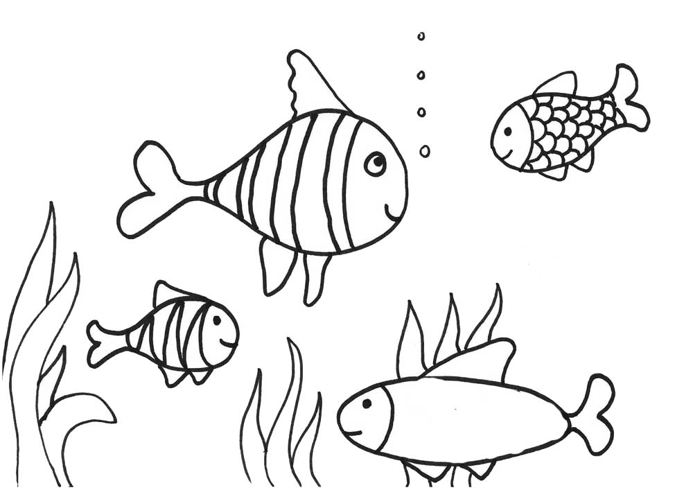  Gambar  Mewarnai  Gambar  Ikan  Untuk  Anak