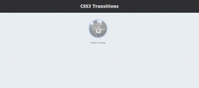 Membuat Effect Transition Hover Dengan CSS