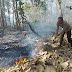 Polisi dan Petugas Gabungan Berhasil Padamkan Kebakaran Hutan Jati di Kabupaten Malang
