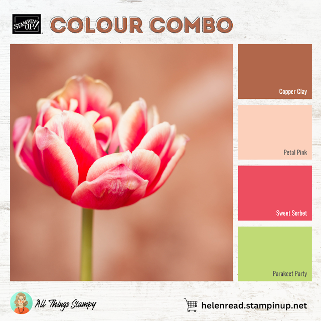 Stampin Up colour color combination combo