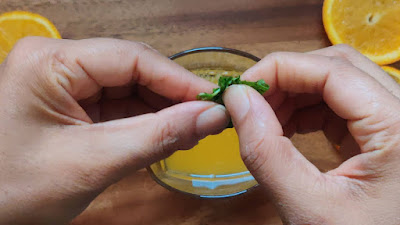 Orange mojito recipe to prepare within 10 mins