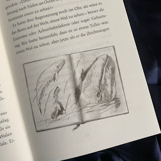 Kinderbuch "Der verschwundene Wal" von Hannah Gold