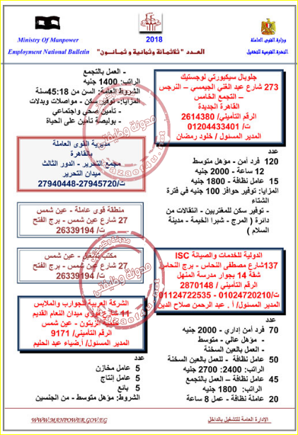 وظائف وزارة القوى العاملة