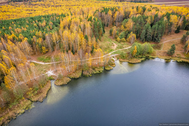 Осенний лес на берегу озера