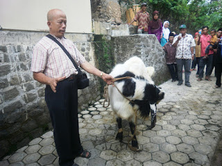 Ruswoyo Ketua Kelompok Ternak Kambing "PEGUMAS"