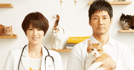Sinopsis Blanket Cats (2017) - Serial TV Jepang - Sinopsis 