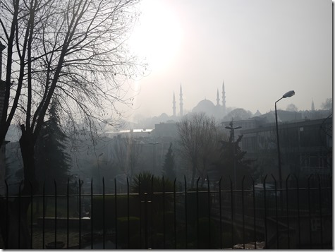 P1180309