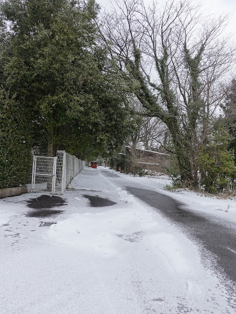 ペンション街の道路