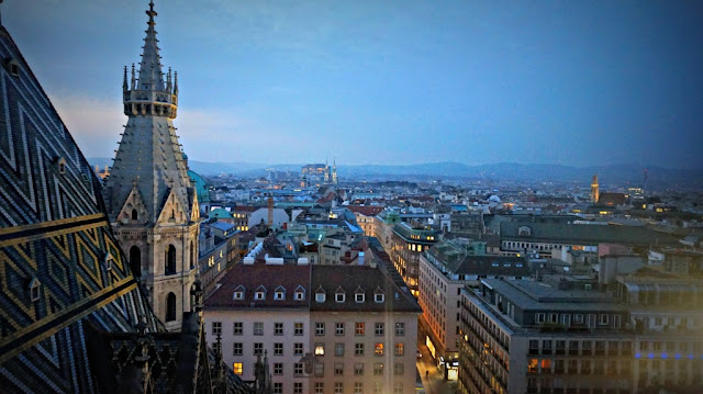 View from Stephansdom's South Tower